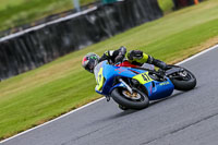 PJ-Motorsport-Photography-2020;anglesey;brands-hatch;cadwell-park;croft;donington-park;enduro-digital-images;event-digital-images;eventdigitalimages;mallory;no-limits;oulton-park;peter-wileman-photography;racing-digital-images;silverstone;snetterton;trackday-digital-images;trackday-photos;vmcc-banbury-run;welsh-2-day-enduro
